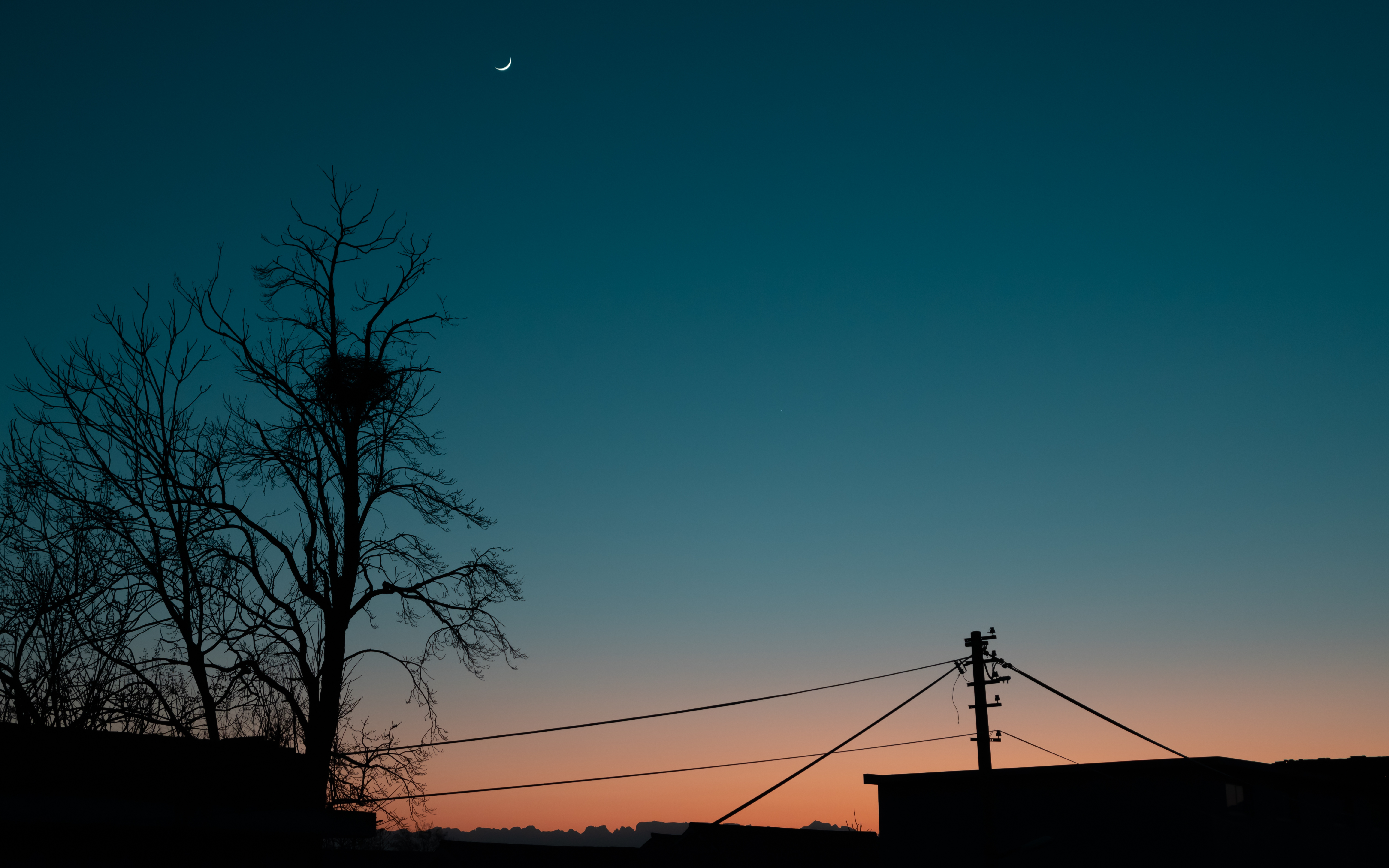 DSC_0491.jpg